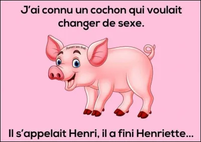 Comment dit-on "cochon" en anglais ?