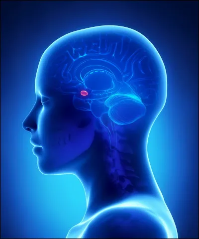 Avant de s'intéresser aux différents modèles et concepts en psychopathologie, il est nécessaire de savoir de quoi on parle ! Selon vous, quelles sont les caractéristiques d'un trouble psychologique ?