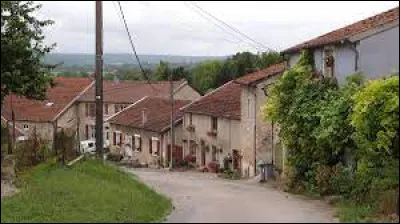 Ancienne commune du Grand-Est, dans l'arrondissement de Commercy, Ailly-sur-Meuse se situe dans le département ...