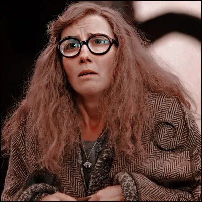 Quel est le MBTI de Sibylle Trelawney ?