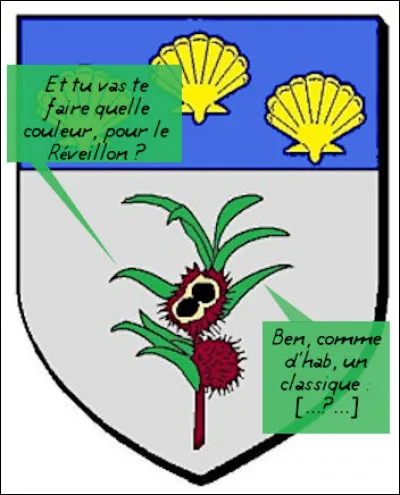 Les fêtes de fin d'années sont toujours le grand moment des expériences capillaires, non ? [Retrouvez le nom de la commune en vous inspirant du dialogue blasonnesque !]