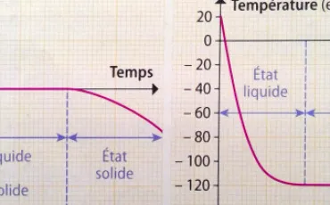 Quiz Sciences