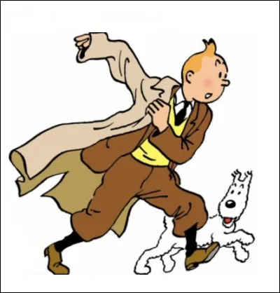 Quel est ce duo, héros des "Aventures de Tintin" créé par Hergé ?