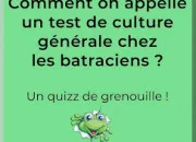 Quiz Menu : Culture gnrale et son velout de questions !