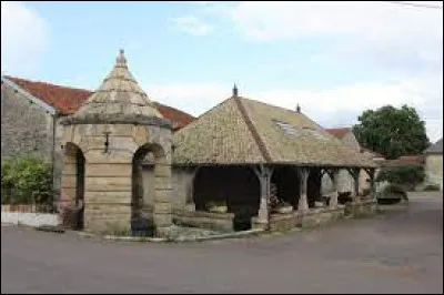 Le point de départ de notre balade se trouve devant le lavoir d'Ambonville. Village de l'aire d'attraction Chaumontaise, il se situe dans le département ...