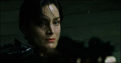 Quel est ce film avec Carrie-Anne Moss ?