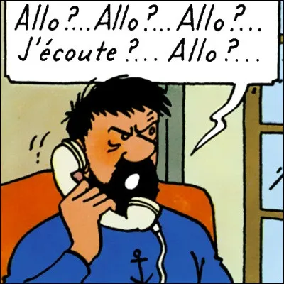 Dans les albums de "Tintin", quel commerce de Moulinsart possède un numéro de téléphone très proche de celui du château ?