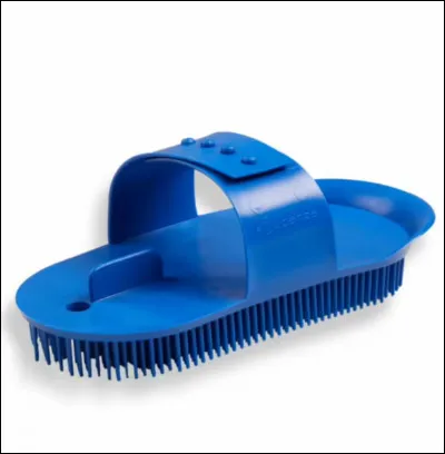 Comment s'appelle cette brosse ?