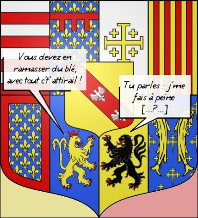 Abondance de bien ne nuit pas, soi-disant ! [Retrouvez le nom de la commune grâce au dialogue blasonnesque !]