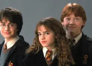 Quiz Harry Potter - Le sans-faute est  porte de tous !