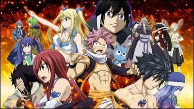 "Fairy Tail" parle de magie.