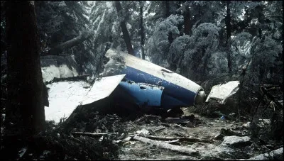 Catastrophe : Le 20 janvier 1992, un Airbus s'écrase dans les Vosges. Mais près de quel mont ?