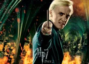 Quiz Les Malefoy