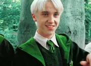 Test Je vais deviner  quel personnage de 'Harry Potter' tu penses !