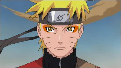 On commence par une question facile : Il a des moustaches et veut devenir Hokage, c'est...