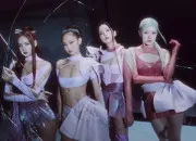 Quiz Connais-tu bien le M/V Pink Venom ?