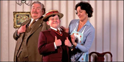 Les Dursley sont-ils gentils avec Harry Potter ?