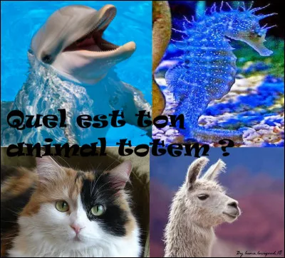 Quel animal préfères-tu ?