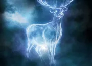 Test Quel serait ton Patronus ?