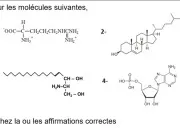 Quiz Biochimie