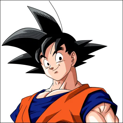 De quelle race est Son Goku ?