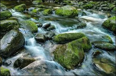 Complétez les proverbes : 
Clair comme de l'eau de...