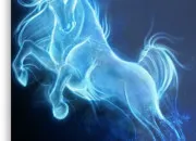 Test Quel est ton patronus dans ''Harry Potter'' ?