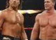 Quiz John Cena et HBK