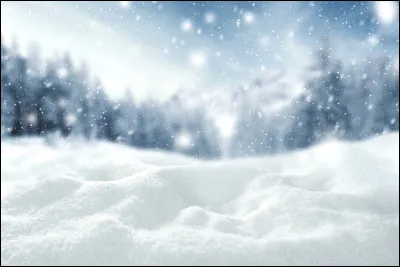 Complétez les paroles de cette chanson de Noël : 
"Sur le long chemin
Tout blanc de neige blanche
Un vieux monsieur s'avance
Avec sa canne dans la main
...