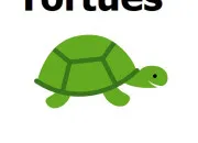 Quiz Tortues