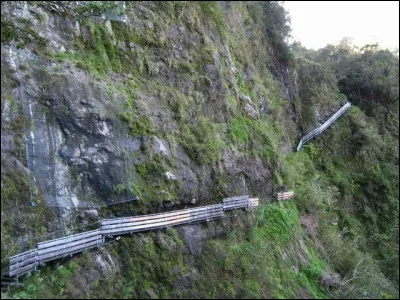 Choisis un sentier.