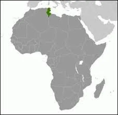 Ce pays jouissant d'une position géographique stratégique fait de lui un point de jonction entre le monde arabe, d'Afrique et d'Europe, quel est-il ?