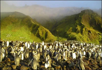 Dans quel océan se trouvent les îles Crozet ?