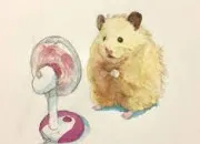 Quiz Hamster'o'quizz