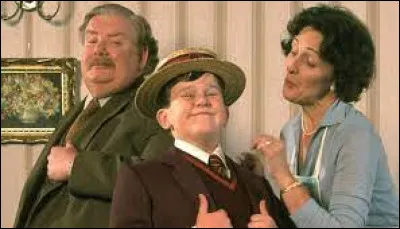 On commence simple, qui la famille Dursley compose-t-elle ?