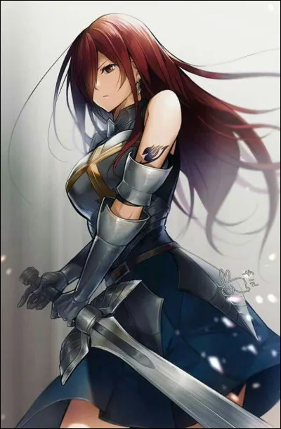 Erza a été nommée sixième maître de la guilde Fairy Tail.