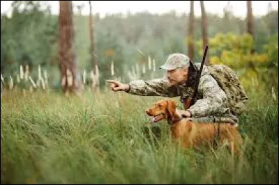 Chasseur : combien y a-t-il de chasseurs en France ?