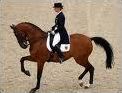 Quiz Equitation