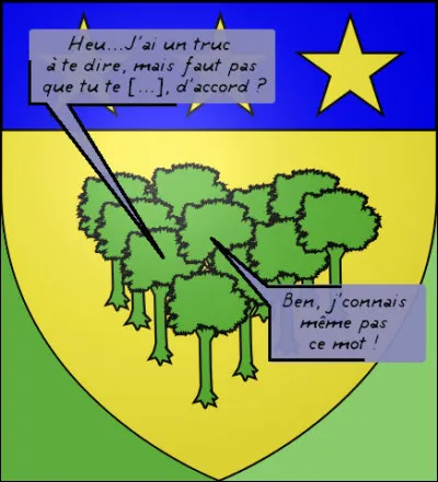 Déjà qu'il s'en passe des choses dans un village, alors sur un blason...