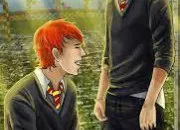 Quiz 7-Fred et George Weasley