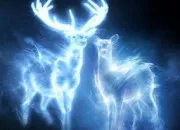 Test Quel est ton Patronus dans ''Harry Potter'' ?