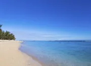 Test Quelle nourriture des plages est faite pour toi ?