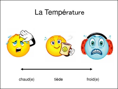 Bien, pour commencer, tu préfères...