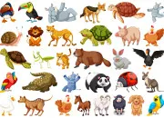 Test Quel animal es-tu ?