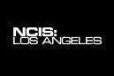 Que veut dire (NCIS) ?