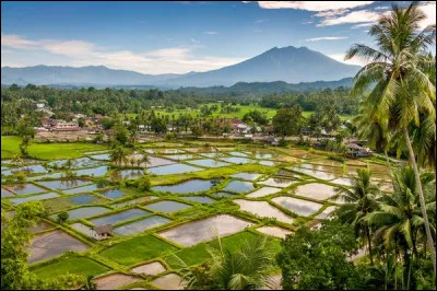 C'est un vaste archipel de plus de 12 000 îles dont Sumatra et Java ; c'est, de loin, le plus étendu des quatre pays avec une superficie de 1,9 million de km² :