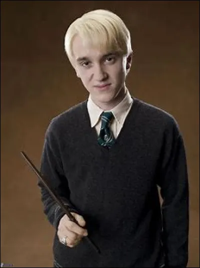 Hermione est amoureuse de Drago Malefoy.