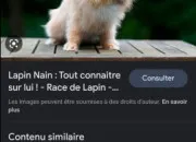 Quiz Les lapins nains