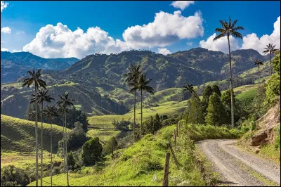 C'est le plus vaste des trois pays, avec une superficie de 1,1 millions de km² :