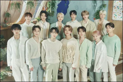 Combien de membres y a-t-il dans le groupe Seventeen ?